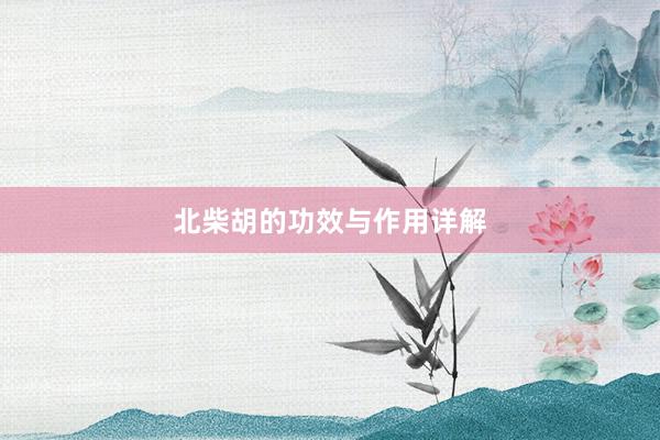 北柴胡的功效与作用详解