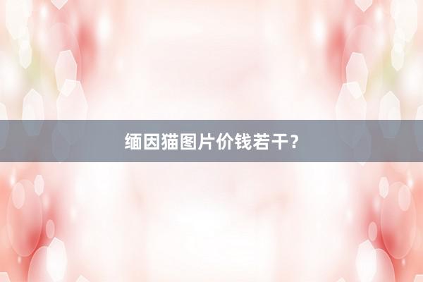 缅因猫图片价钱若干？