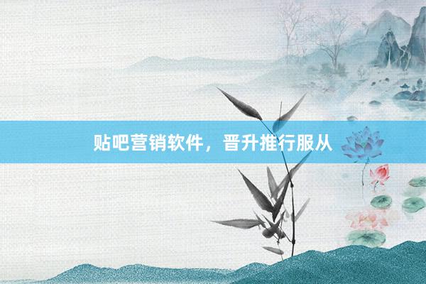 贴吧营销软件，晋升推行服从